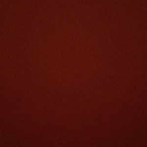 Meet your Posher, Ernesto